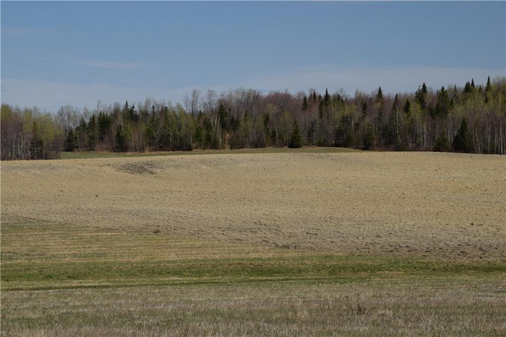 2090 Caribou Road Sinclair, ME 04779 - Photo 9 of 28 Great soils