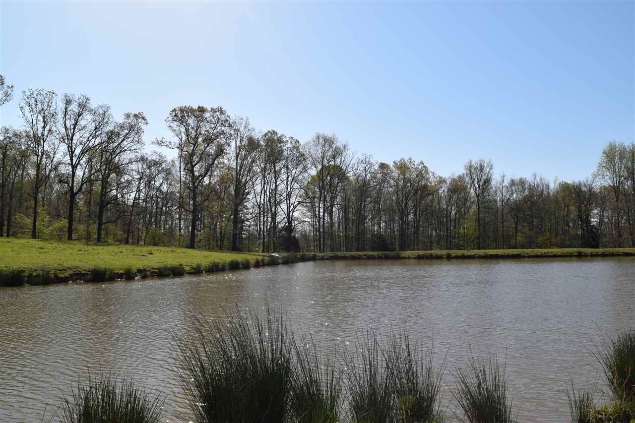 1360 Maxwell Road Bolivar, TN 38008 - Photo 1 of 25 Gallery Image 1