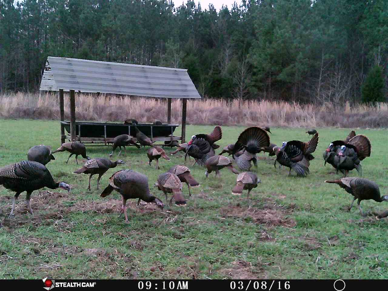 1360 Maxwell Road Bolivar, TN 38008 - Photo 12 of 25 Gallery Image 12