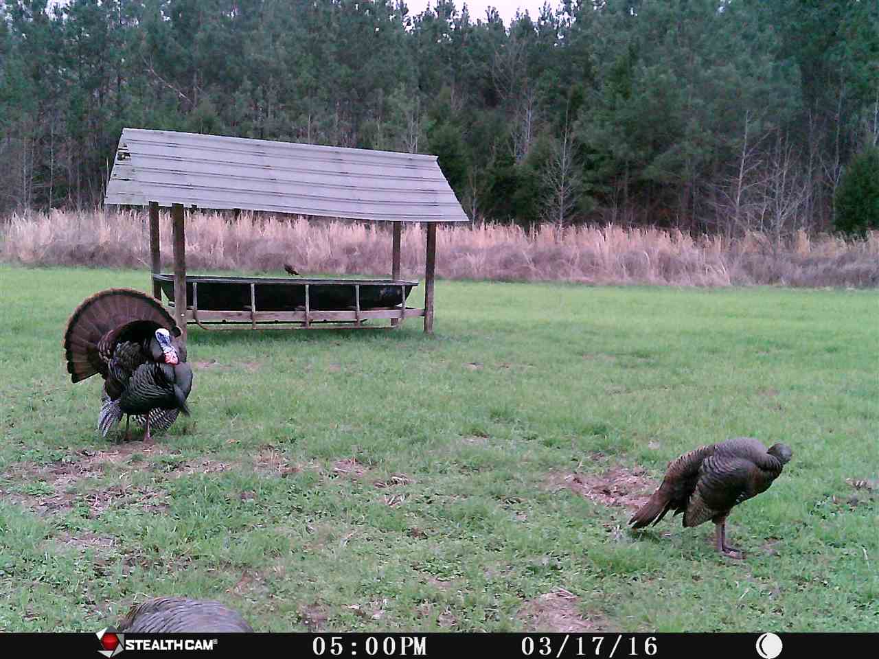 1360 Maxwell Road Bolivar, TN 38008 - Photo 13 of 25 Gallery Image 13