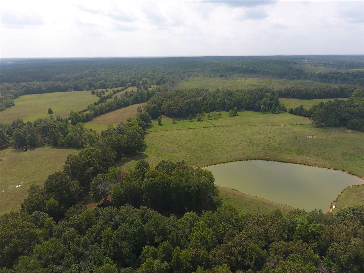 1360 Maxwell Road Bolivar, TN 38008 - Photo 18 of 25 Gallery Image 18