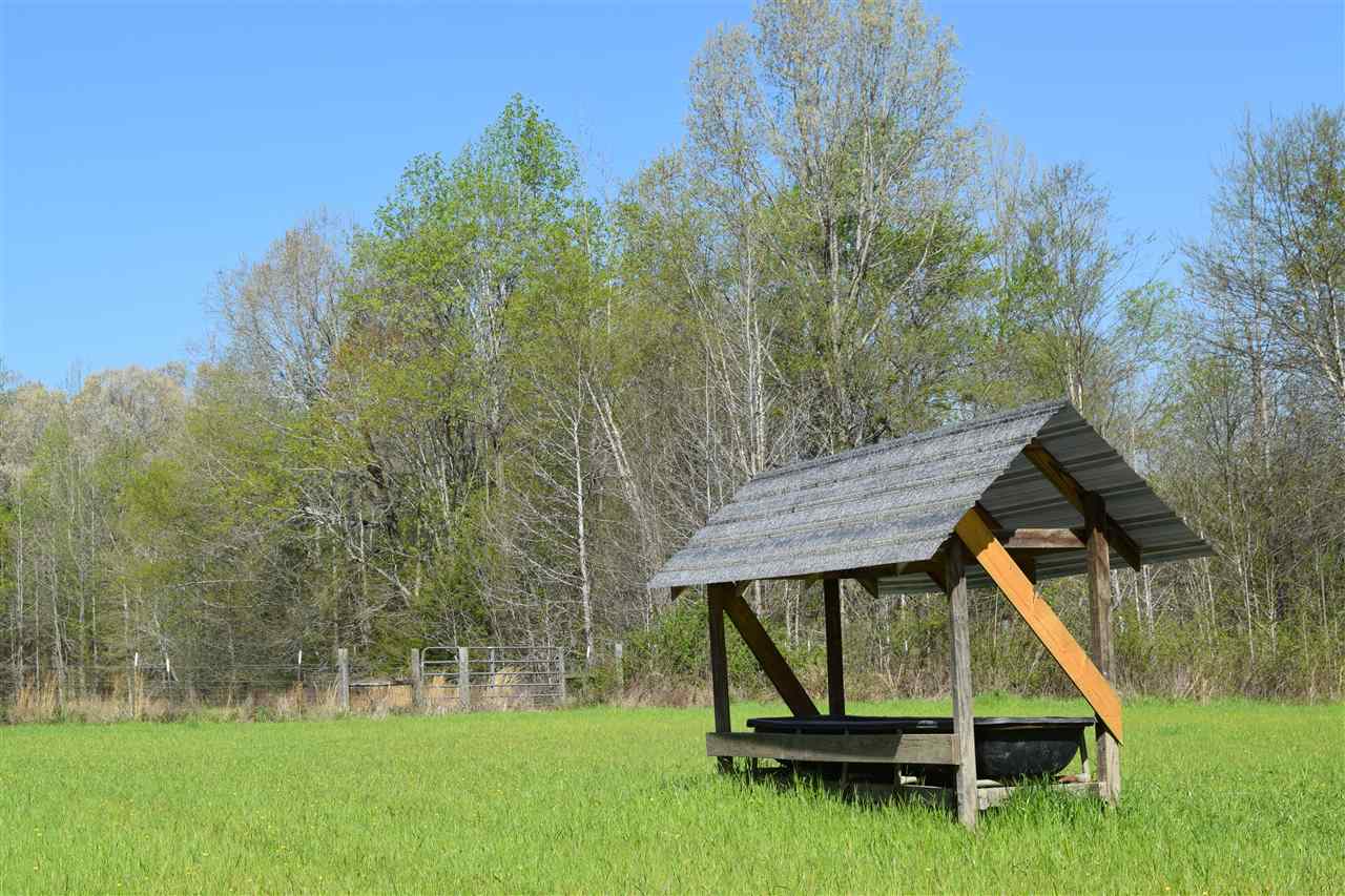 1360 Maxwell Road Bolivar, TN 38008 - Photo 3 of 25 Gallery Image 3