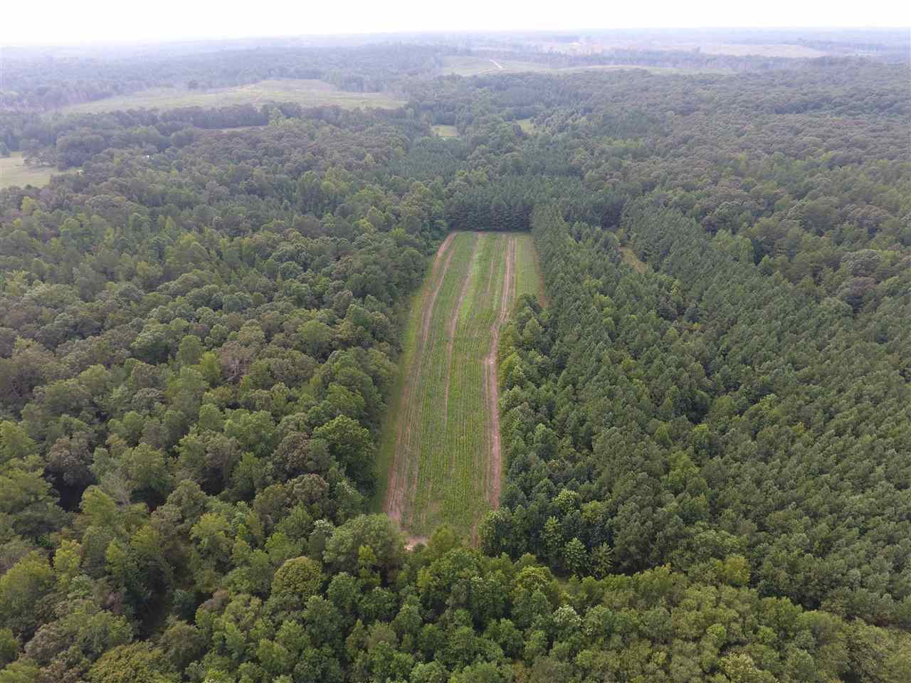 1360 Maxwell Road Bolivar, TN 38008 - Photo 23 of 25 Gallery Image 23