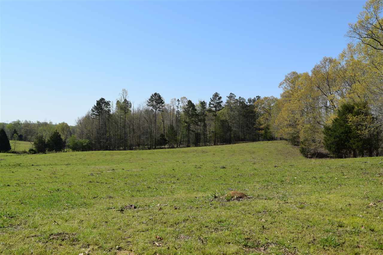 1360 Maxwell Road Bolivar, TN 38008 - Photo 4 of 25 Gallery Image 4