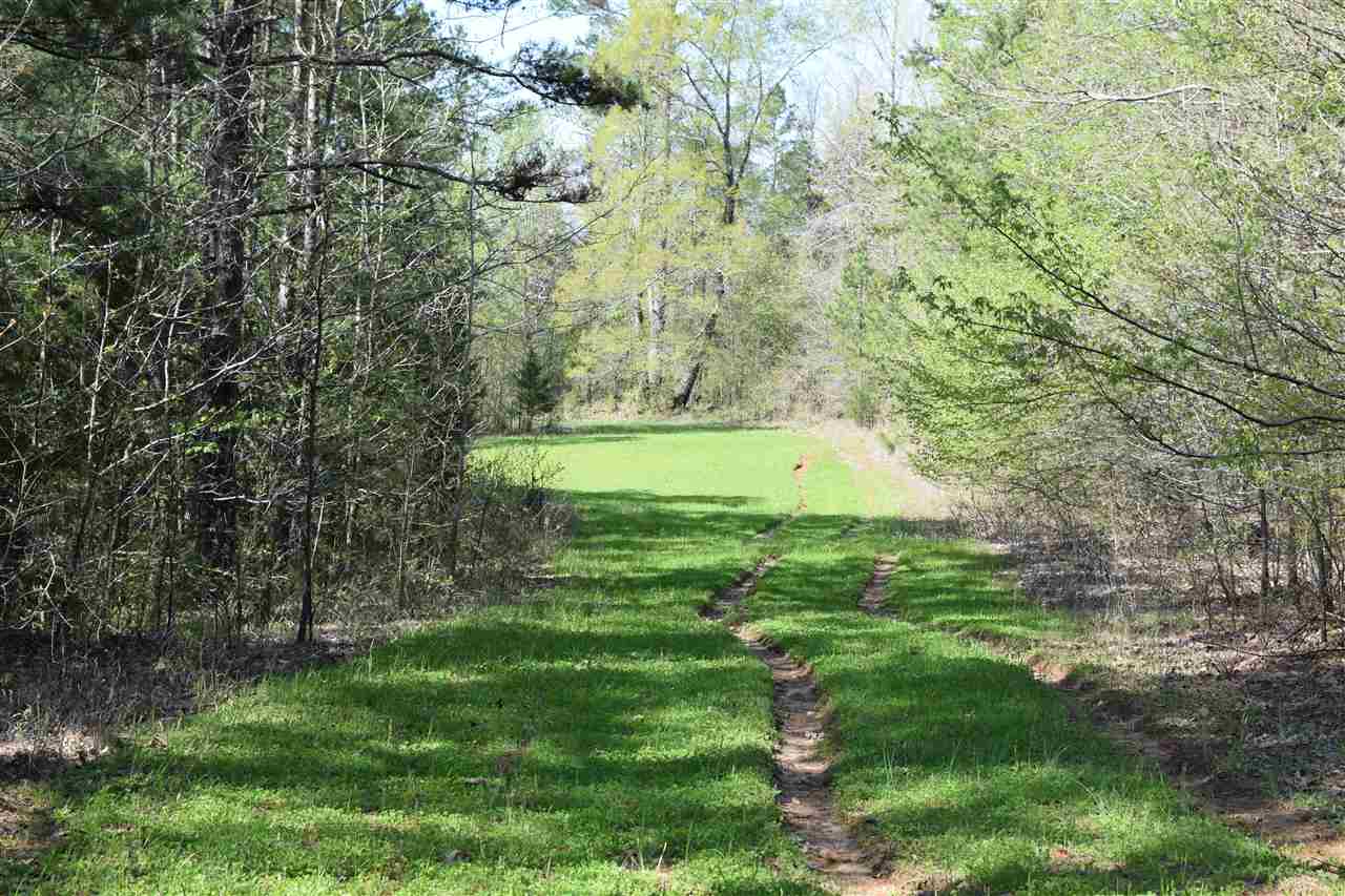 1360 Maxwell Road Bolivar, TN 38008 - Photo 6 of 25 Gallery Image 6