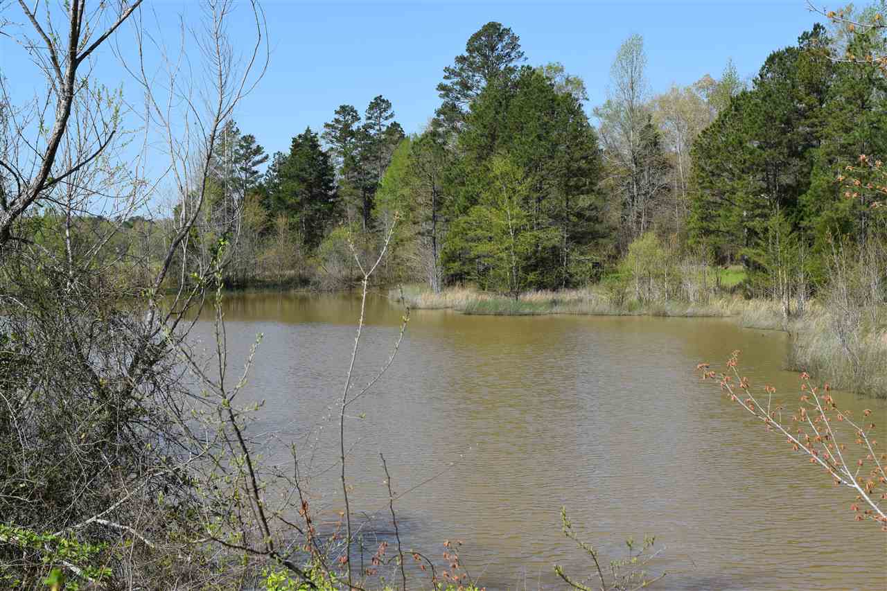 1360 Maxwell Road Bolivar, TN 38008 - Photo 7 of 25 Gallery Image 7