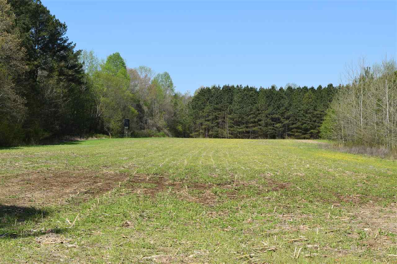 1360 Maxwell Road Bolivar, TN 38008 - Photo 8 of 25 Gallery Image 8