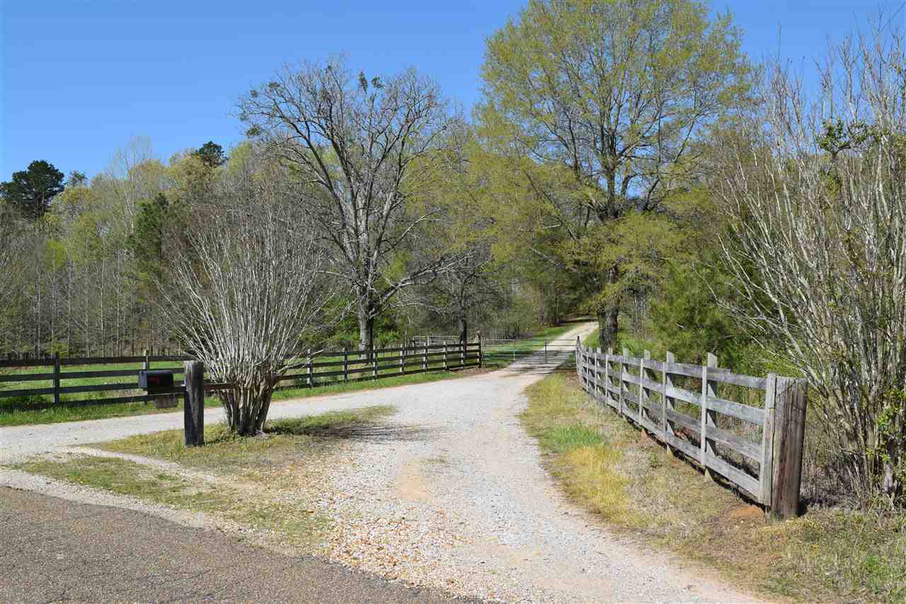 1360 Maxwell Road Bolivar, TN 38008 - Photo 9 of 25 Gallery Image 9