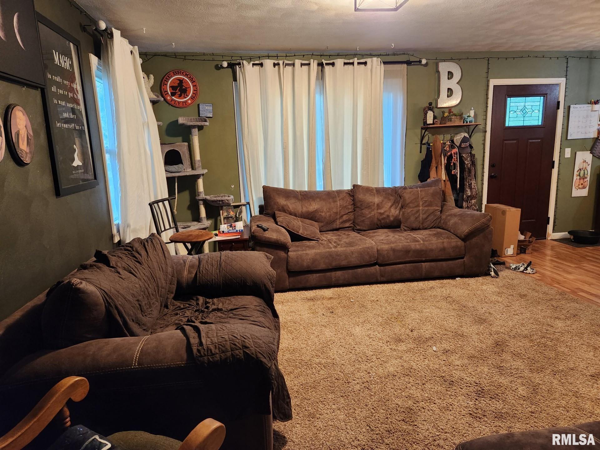 13995 North Manito Road Manito, IL 61546 - Photo 2 of 14 Gallery Image 2