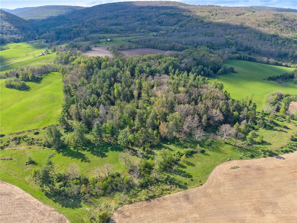 Westkill Road North Blenheim, NY 12131 - Photo 21 of 38