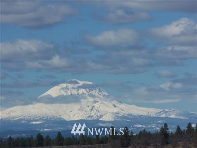 24 Lipo Road Centerville, WA 98613 - Photo 1 of 1 Gallery Image 1