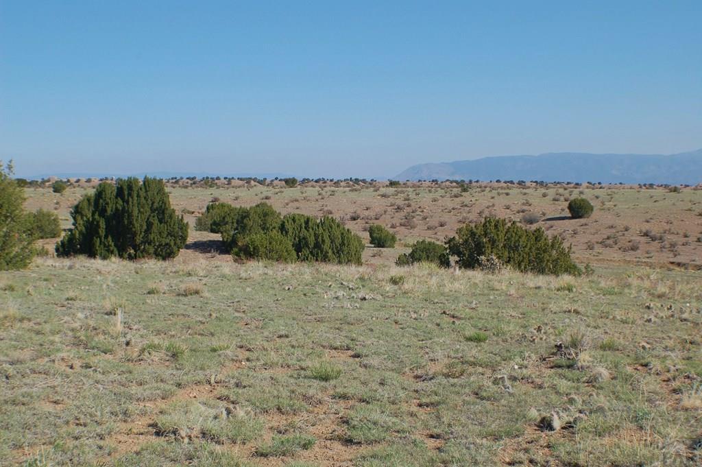 Tbd Tbd Ranch Road Florence, CO 81226 - Photo 7 of 25