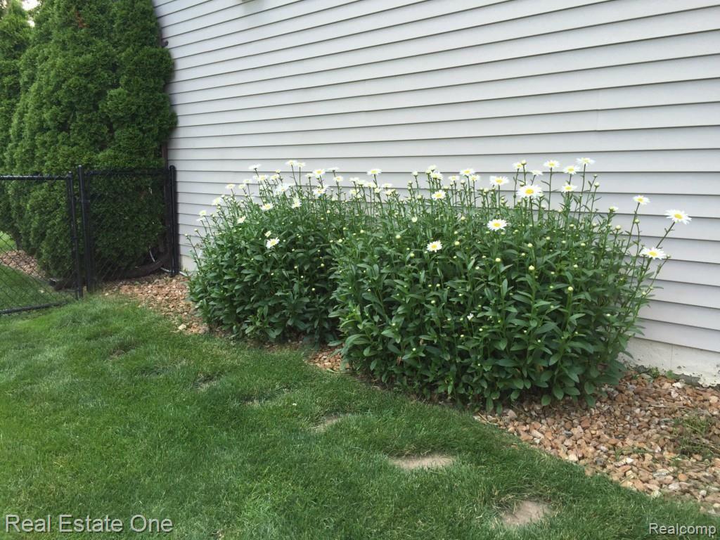 3711 Loon Lake Road Wixom, MI 48393 - Photo 39 of 40 SIDE OF HOME