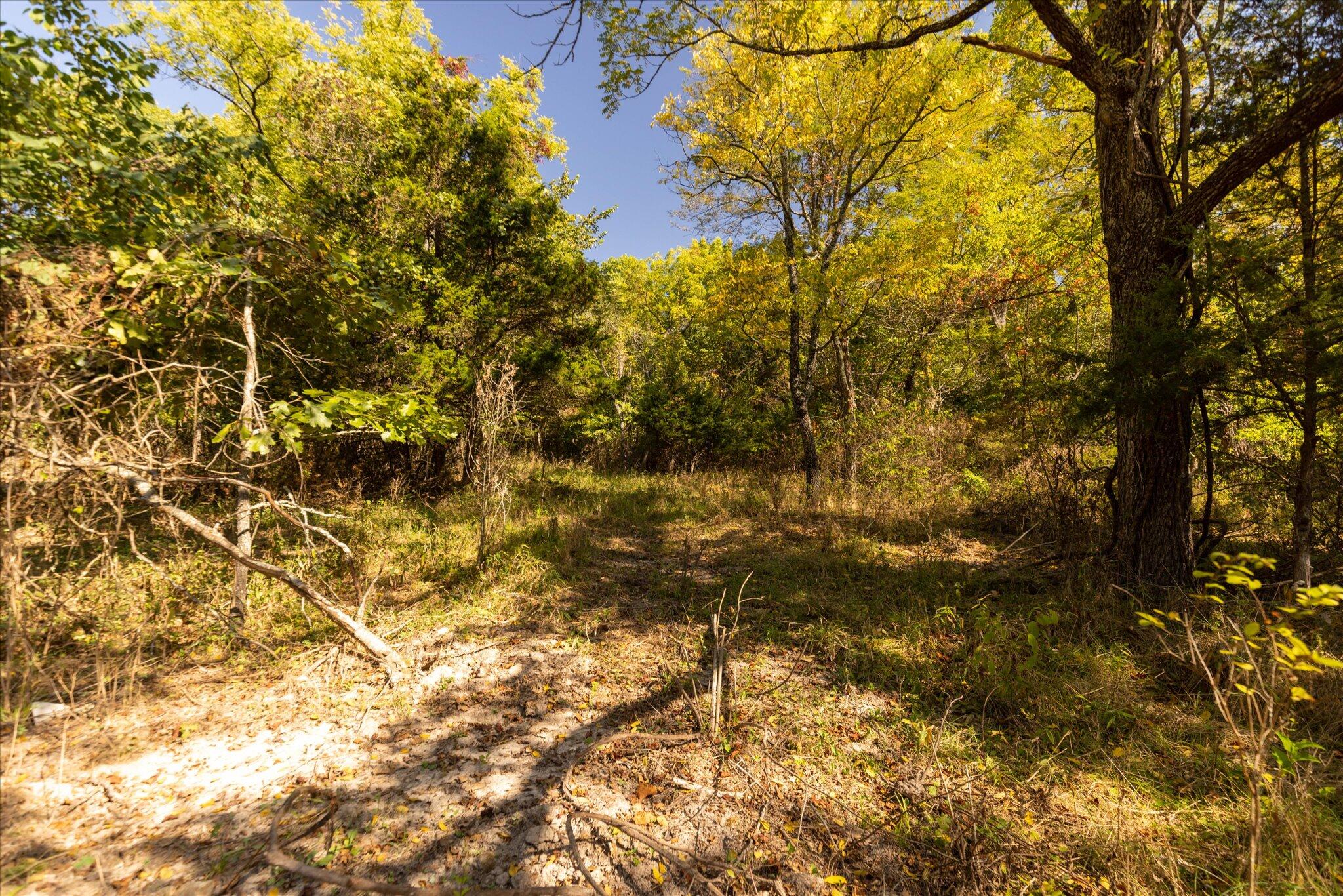 0 Watts Road Rogersville, MO 65742 - Photo 33 of 51 33-HT9A5662