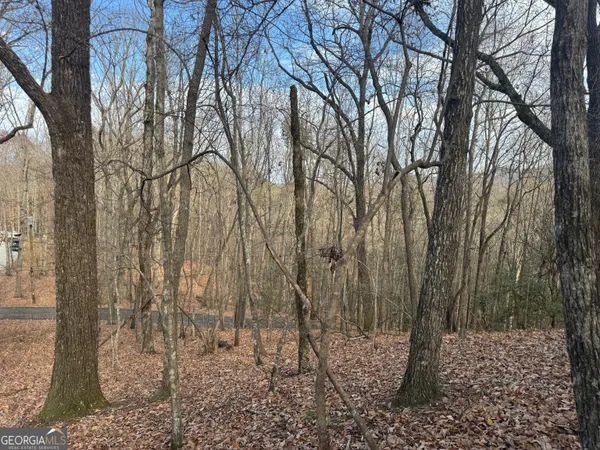 $63,000 | 50 Geneva Place, Sautee Nacoochee, GA 30571