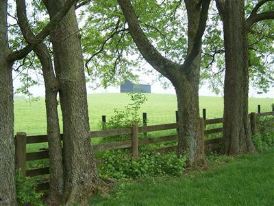 183 Cypress Road Versailles, KY 40383 - Photo 4 of 22 Photo 4