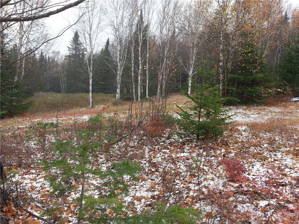 240 Dallas Hill Road Dallas Plt, ME 04970 - Photo 6 of 28 Open fields where deer are plentiful