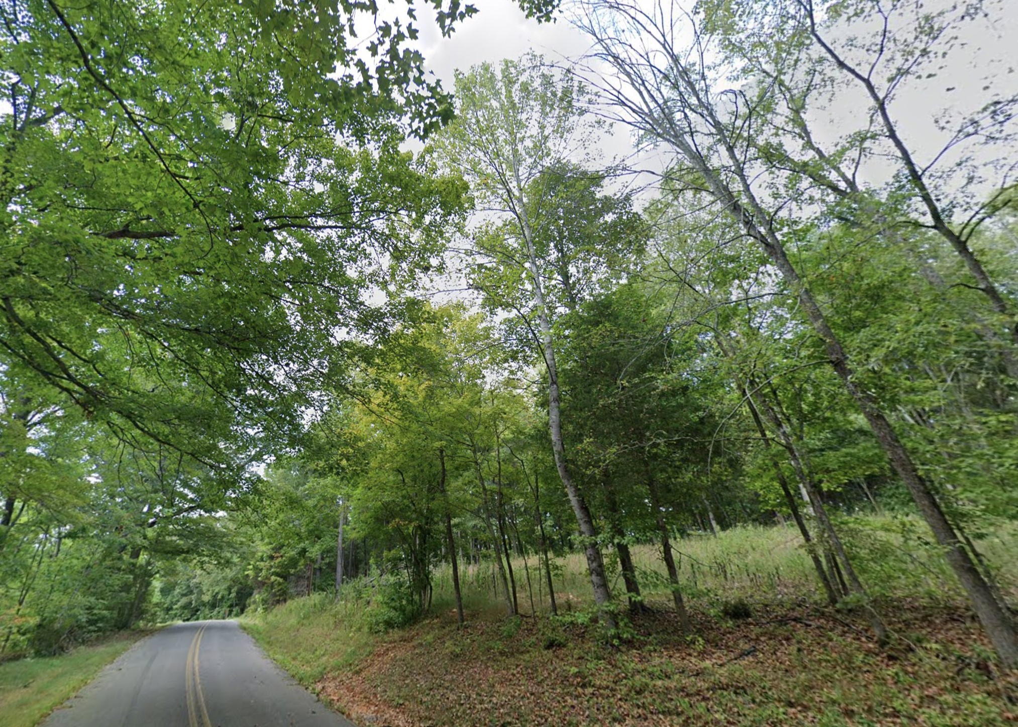 783 New Road Clarksville, TN 37040 - Photo 3 of 4 Gallery Image 3
