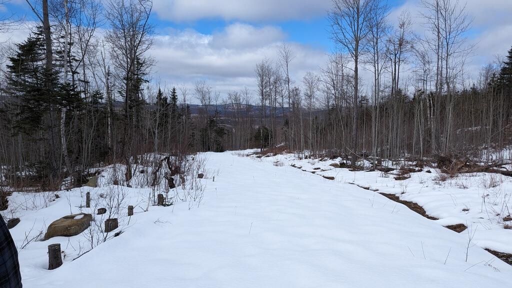 Lot 9 Pinkham Hill Road Phillips, ME 04966 - Photo 7 of 23 016