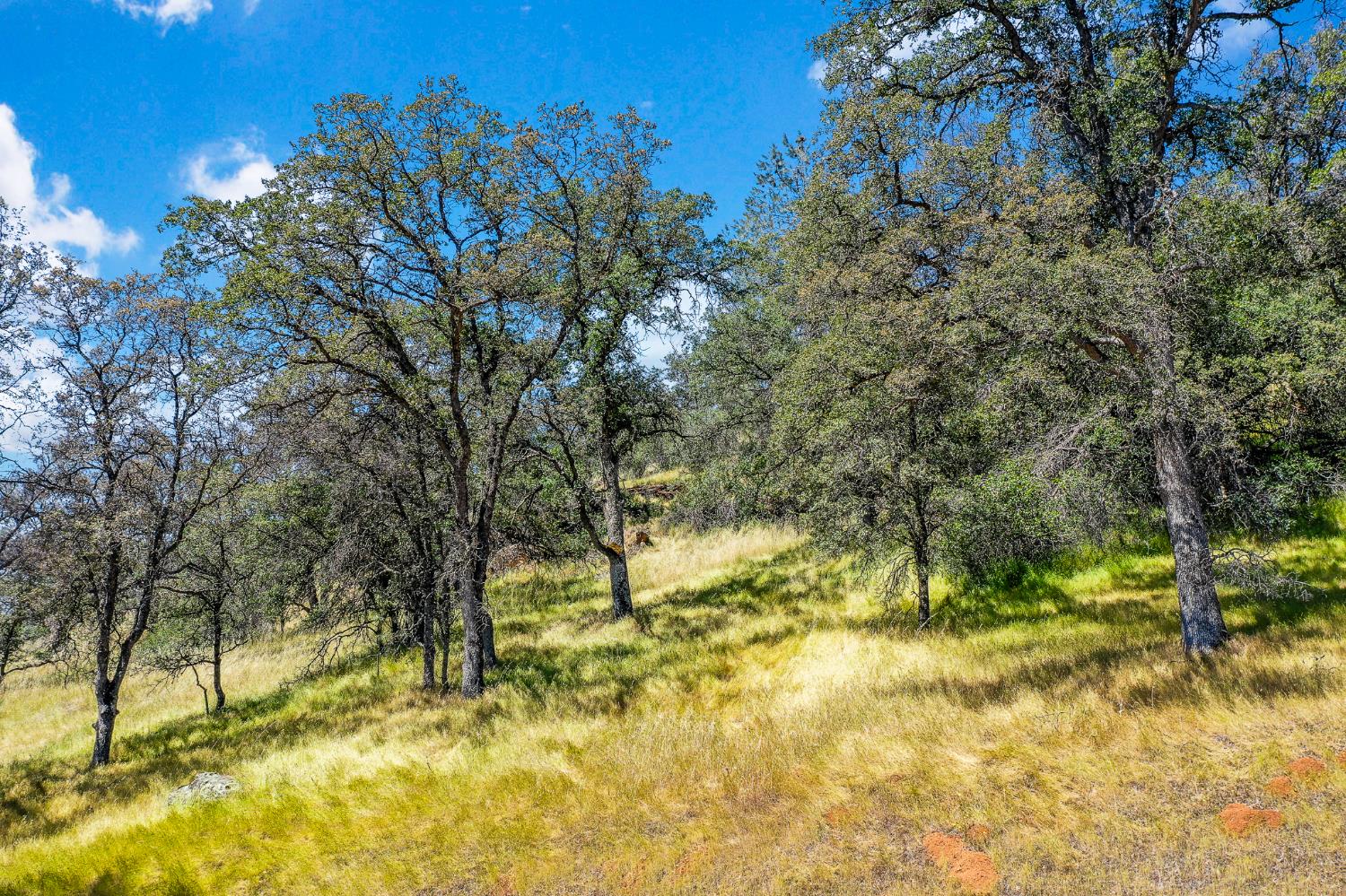29 Township Road Browns Valley, CA 95918 - Photo 43 of 62 Gallery Image 43