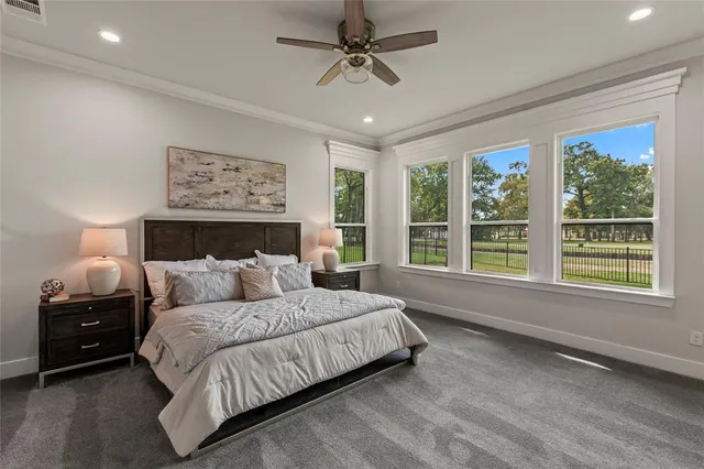 a living room with a bed furniture and a window