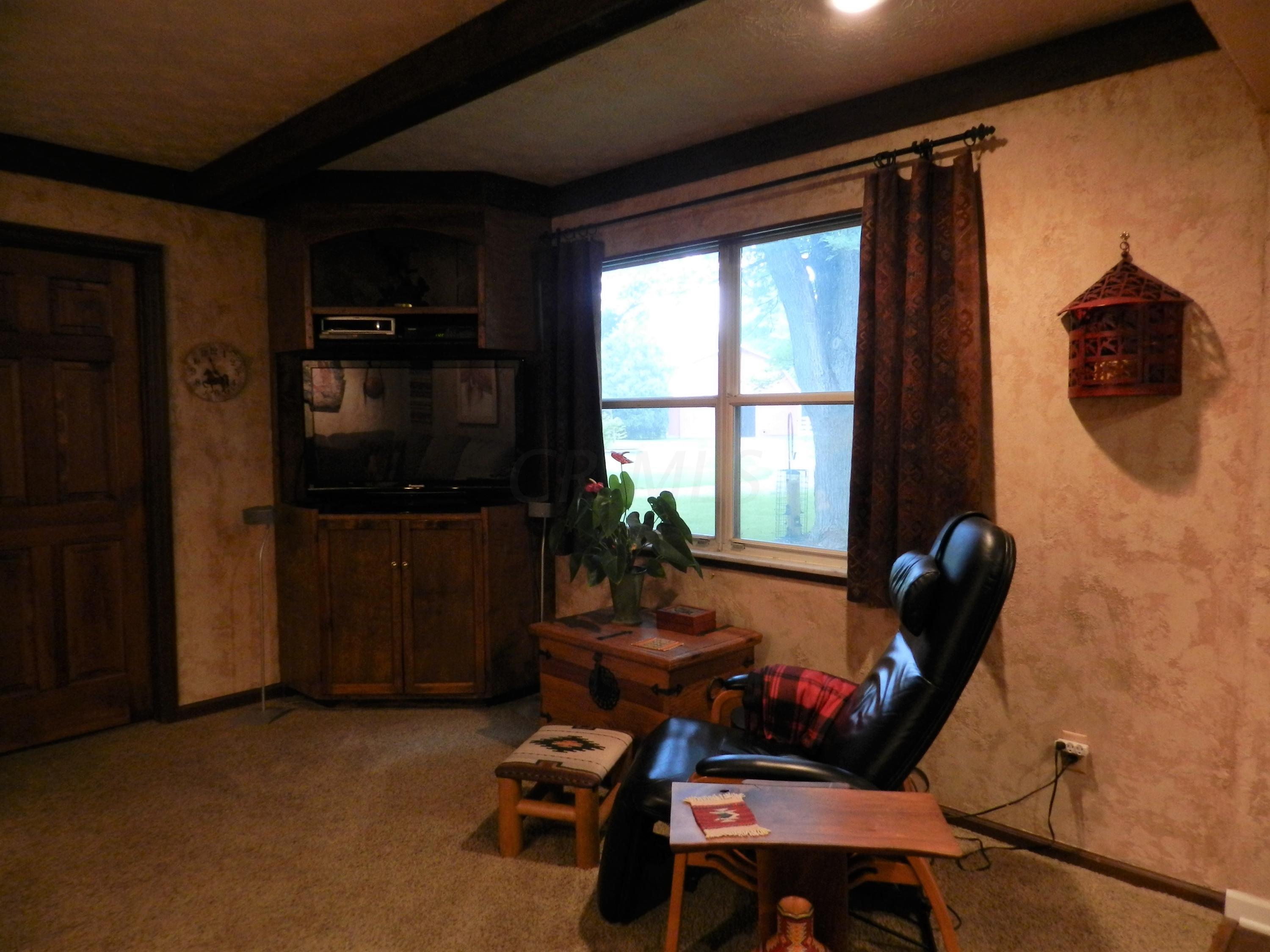 4785 Maynard Road Delaware, OH 43015 - Photo 17 of 65 Gallery Image 17