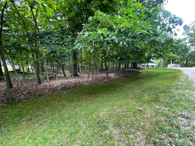 a view of a park with large trees
