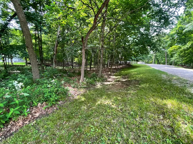 a view of a tree in a yard