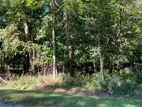 a view of backyard with green space