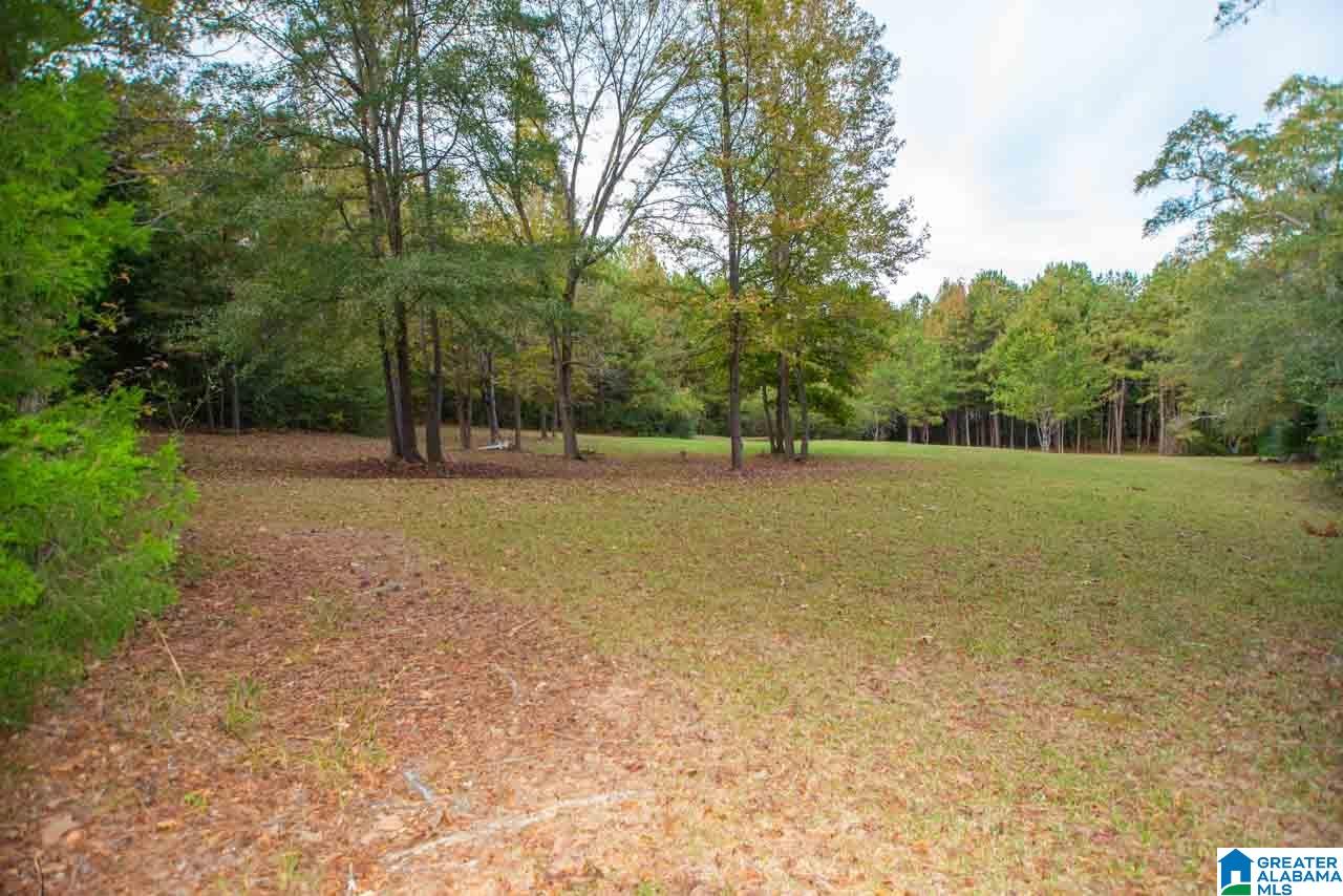 274 Hepzibah Road Talladega, AL 35160 - Photo 41 of 50