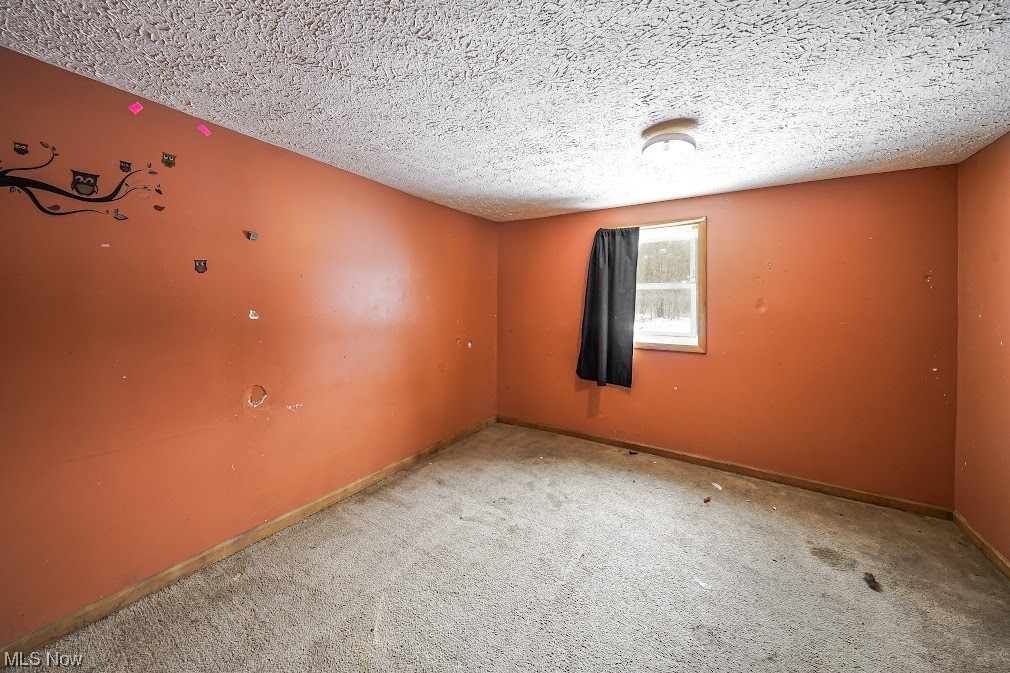 9606 Durst Colebrook Road North Bloomfield, OH 44450 - Photo 10 of 24 Spare room with carpet floors and a textured ceiling