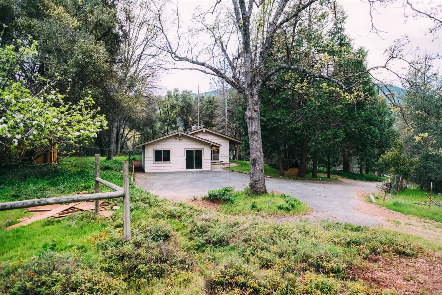 39535 Pine Ridge Road Oakhurst, CA 93644 - Photo 5 of 10 Gallery Image 5