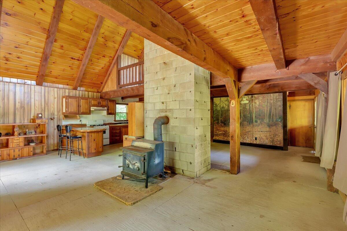 146 Big Brook Road Indian Lake, NY 12842 - Photo 14 of 41