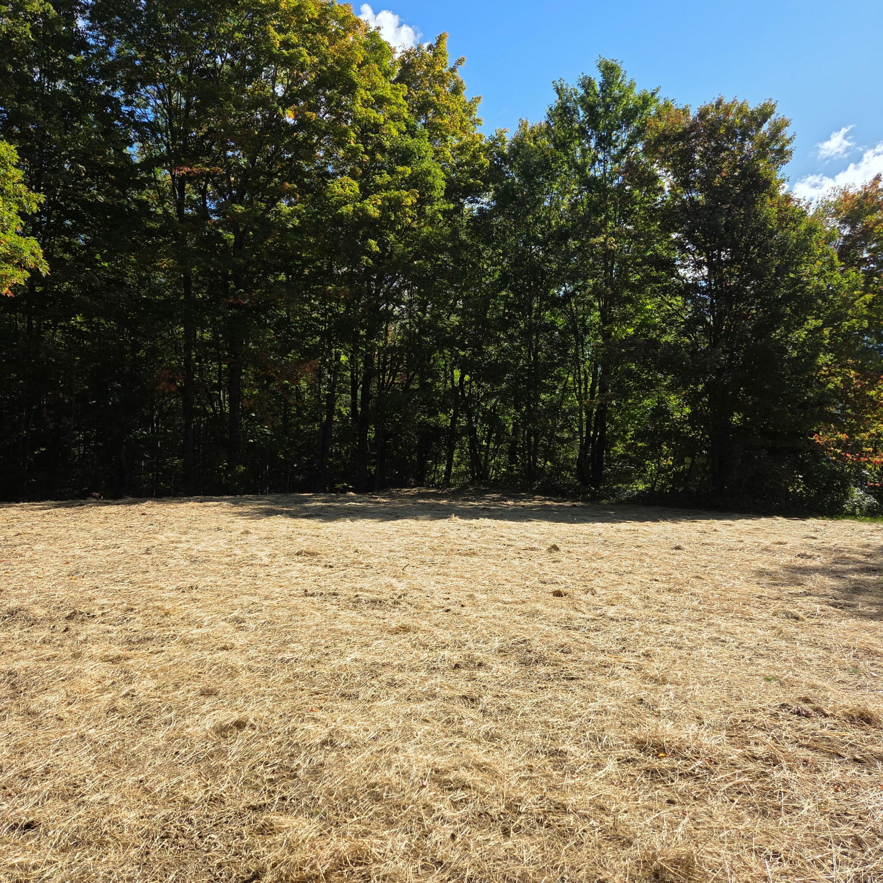 394 Transalpine Road Lincoln, ME 04457 - Photo 33 of 47 20260918_102333