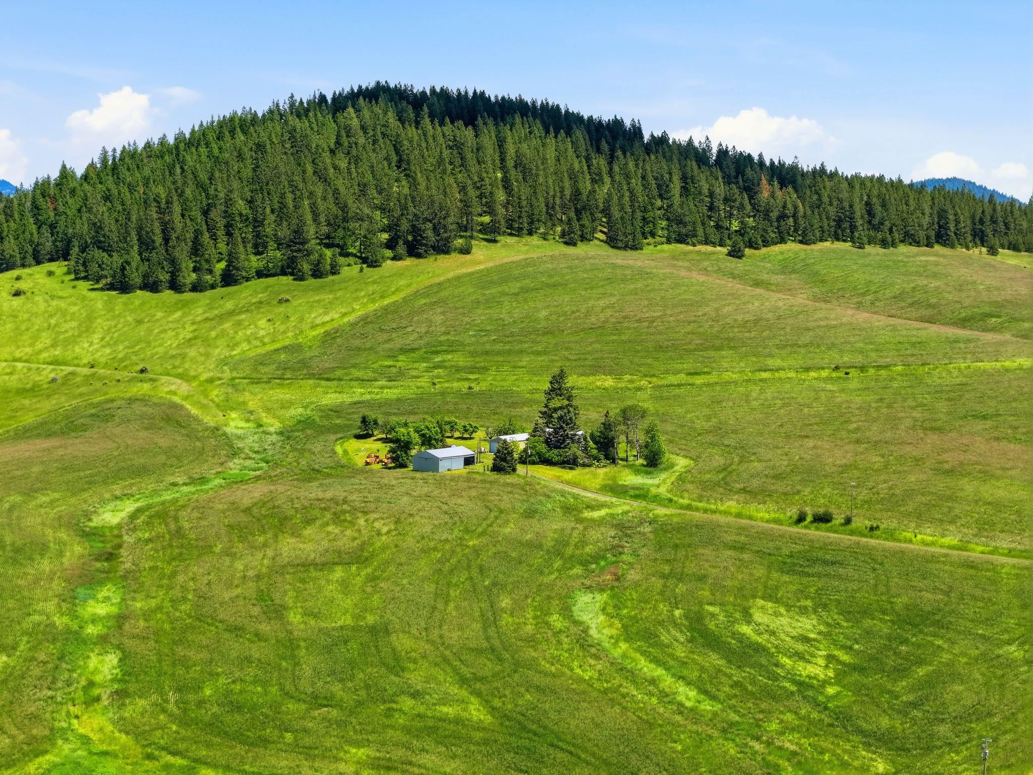2157 West Rolling Hills Road Worley, ID 83876 - Photo 7 of 22