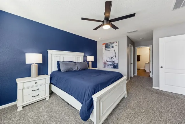 a view of a park with palm trees