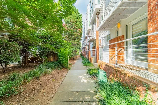 a view of a pathway both side of house