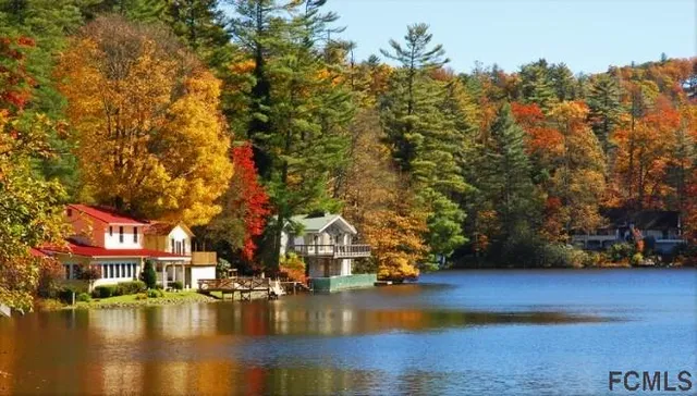 a view of a lush green forest
