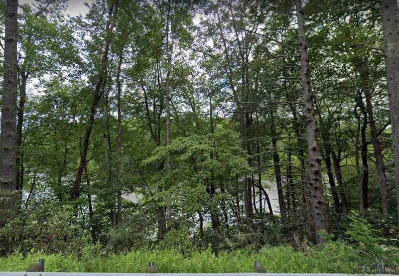 15-xx Franklin Road Highlands, NC 28741 - Photo 3 of 5 a view of a lush green forest