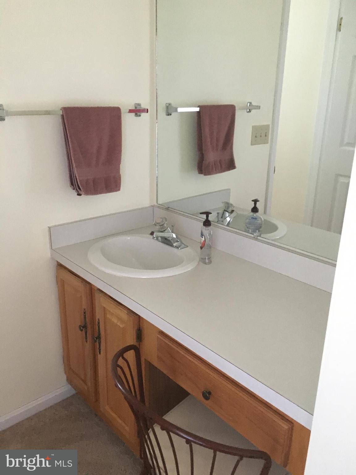 1965 Spring Road Carlisle, PA 17013 - Photo 22 of 31 Vanity area off master bedroom