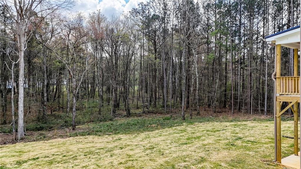 88 Carolyn Path Rockmart, GA 30153 - Photo 73 of 73