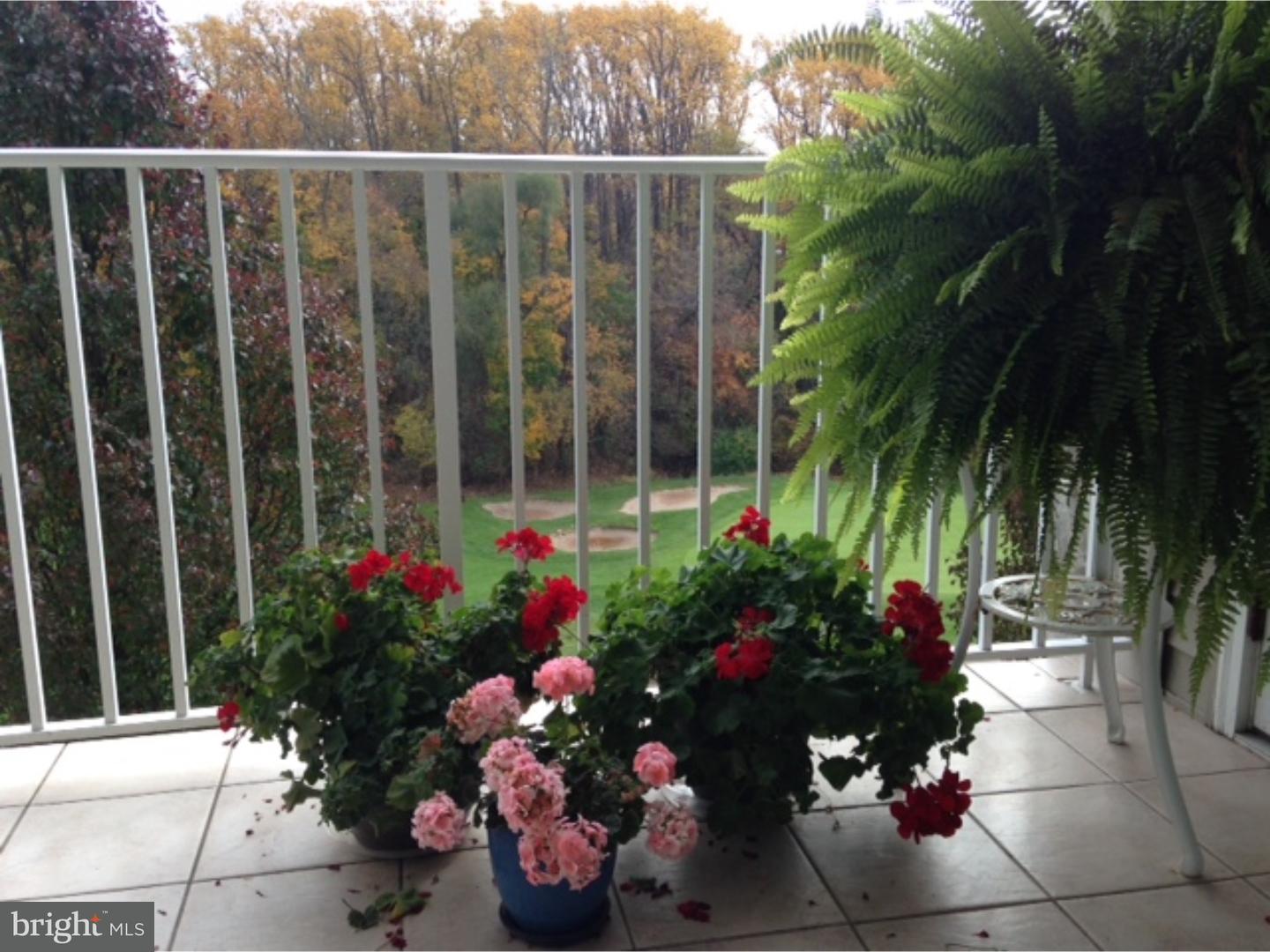 436 Brandon Road Jeffersonville, PA 19403 - Photo 4 of 25 Porch