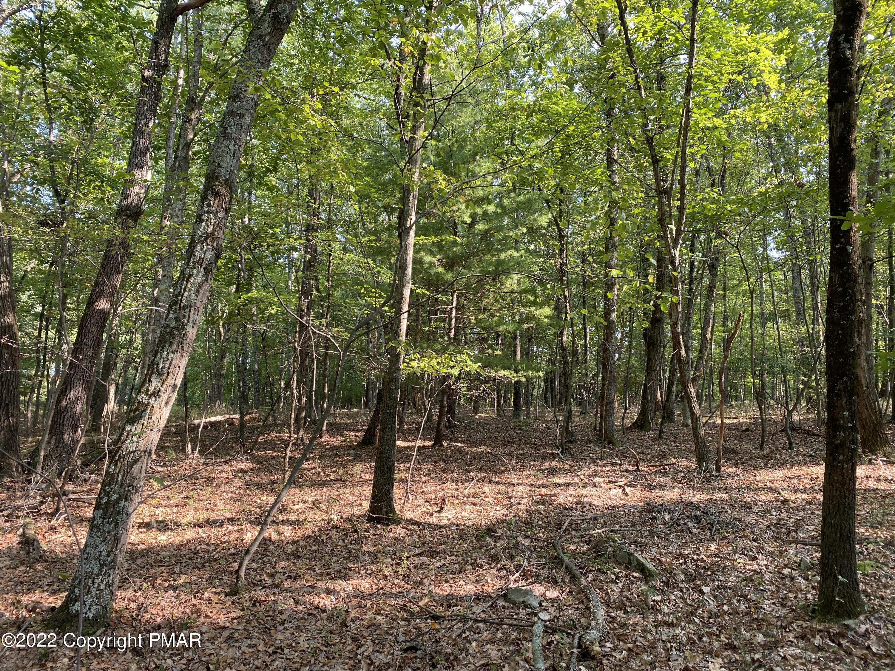 Lot 11 Metzgar Road East Stroudsburg, PA 18301 - Photo 1 of 7 Welcome!