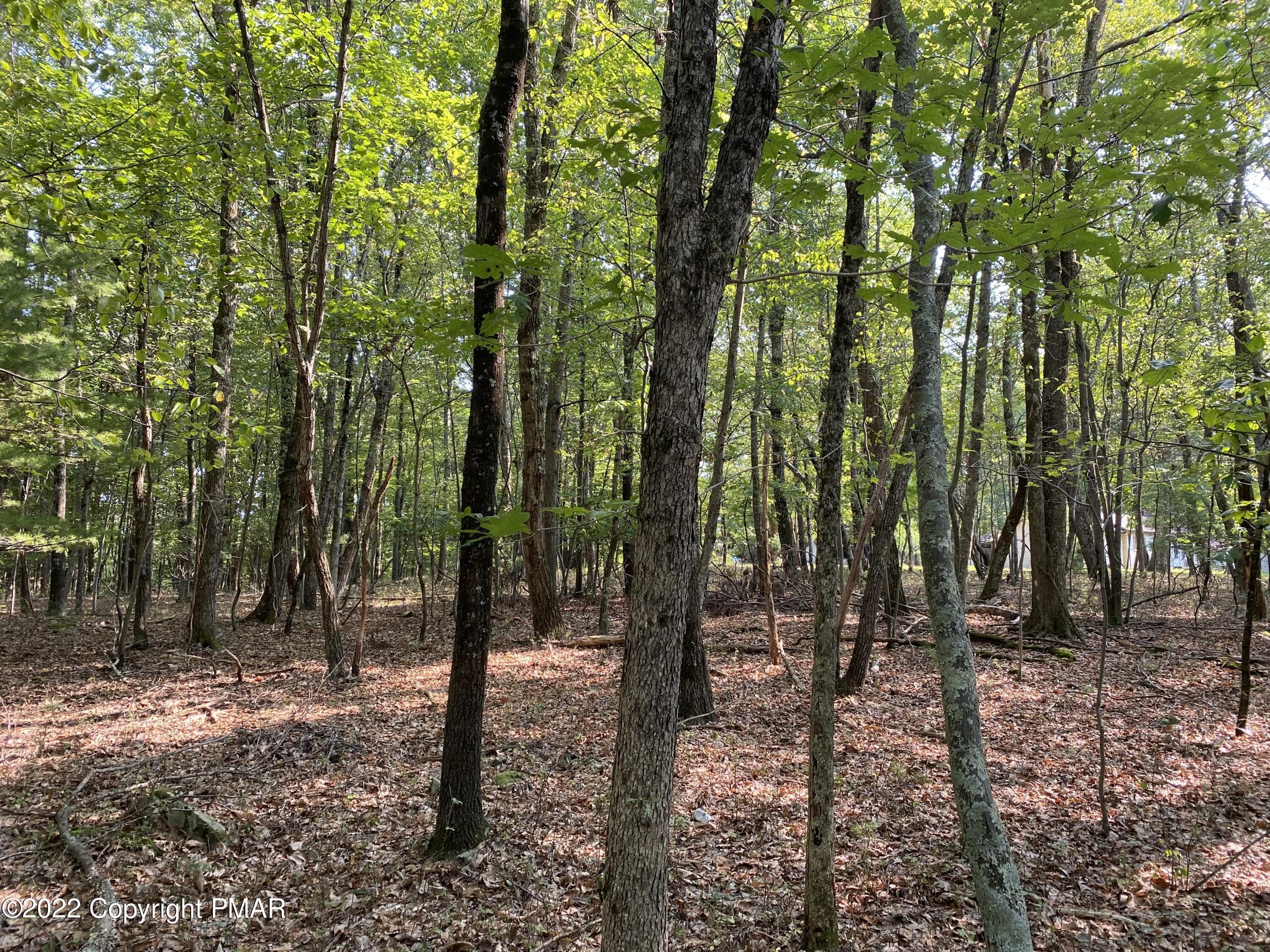 Lot 11 Metzgar Road East Stroudsburg, PA 18301 - Photo 3 of 7 METZGER RD