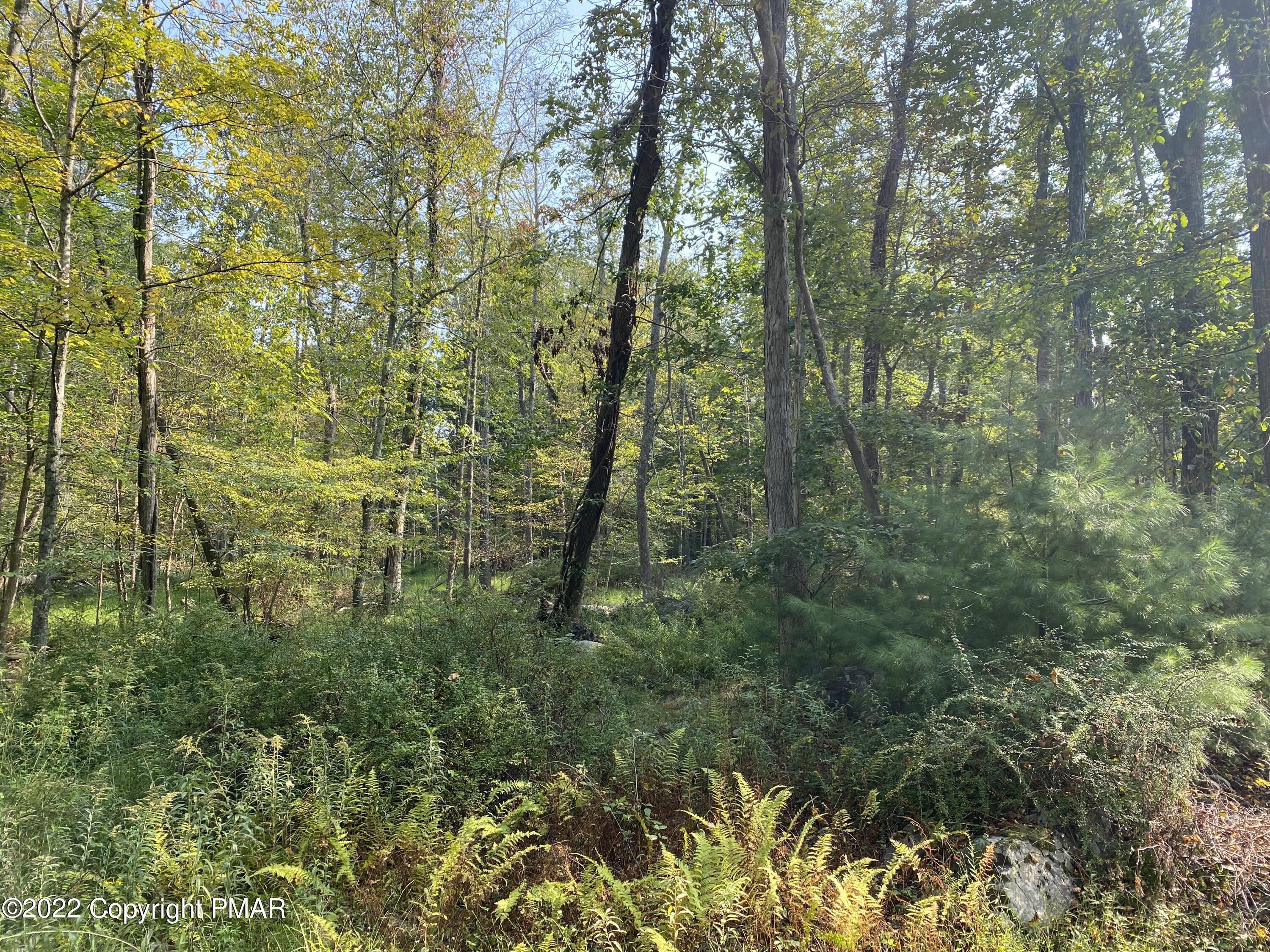 Lot 11 Metzgar Road East Stroudsburg, PA 18301 - Photo 6 of 7 METZGER RD