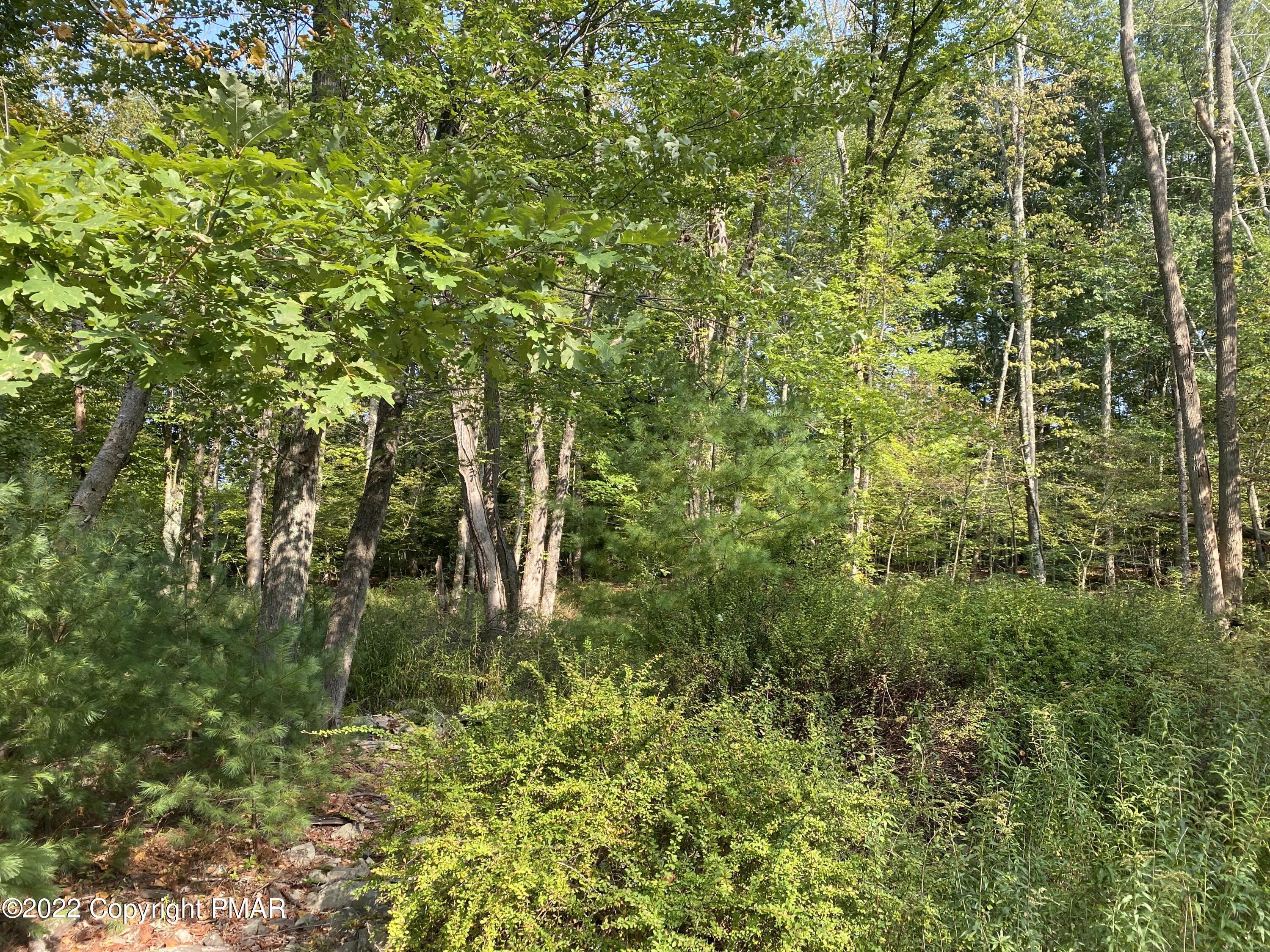 Lot 11 Metzgar Road East Stroudsburg, PA 18301 - Photo 7 of 7 METZGER RD