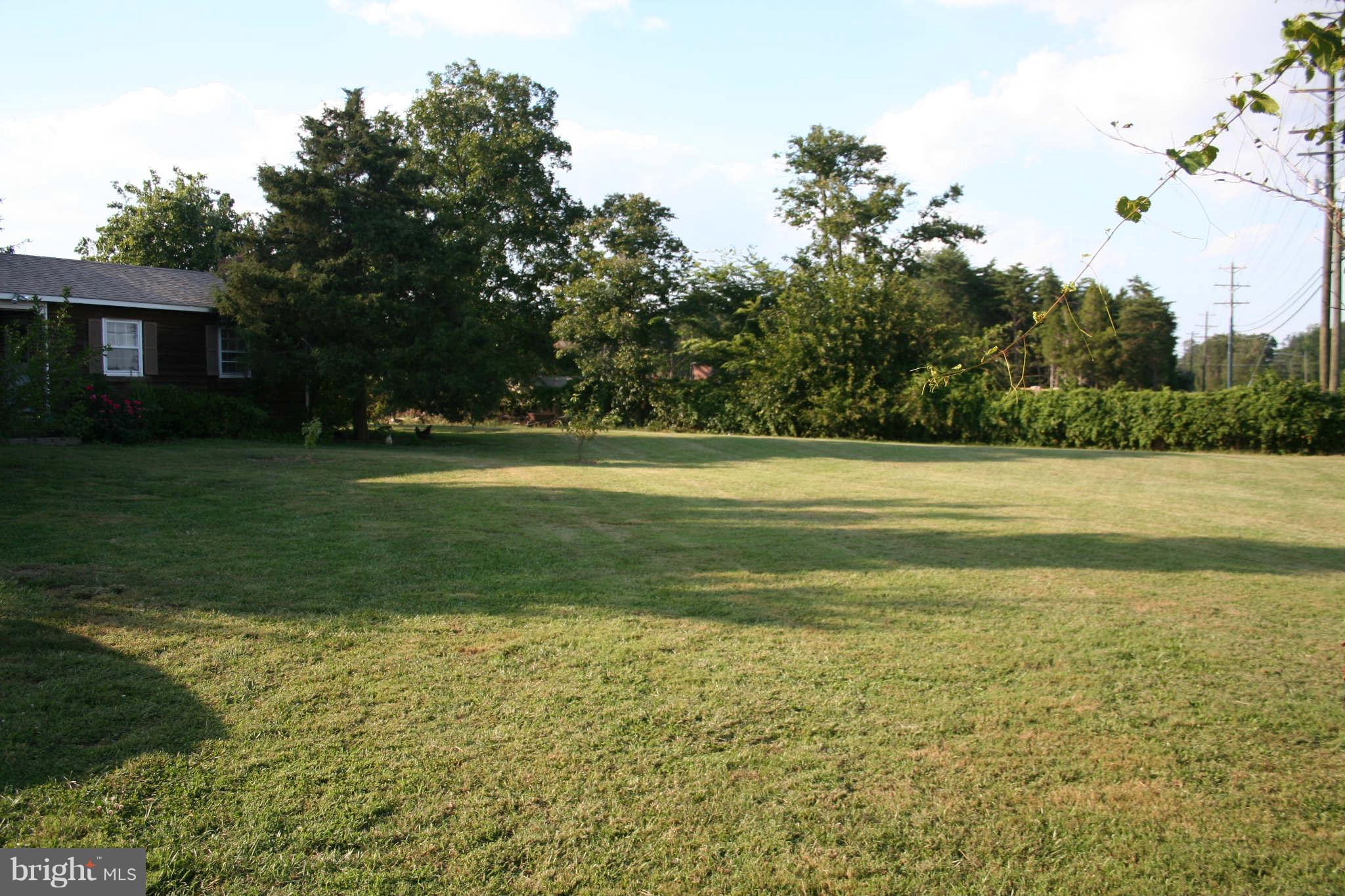 Front Yard