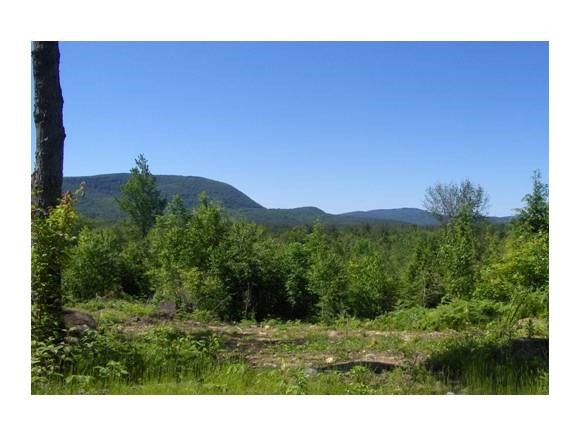 10 North Ridge Road Bradford, NH 03221 - Photo 1 of 1