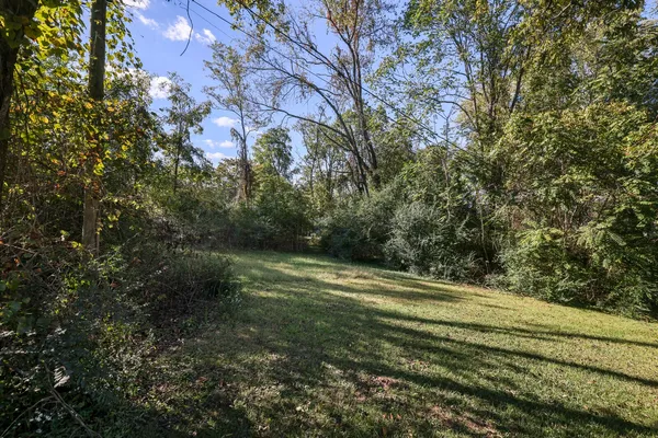 a view of a yard with plants and trees