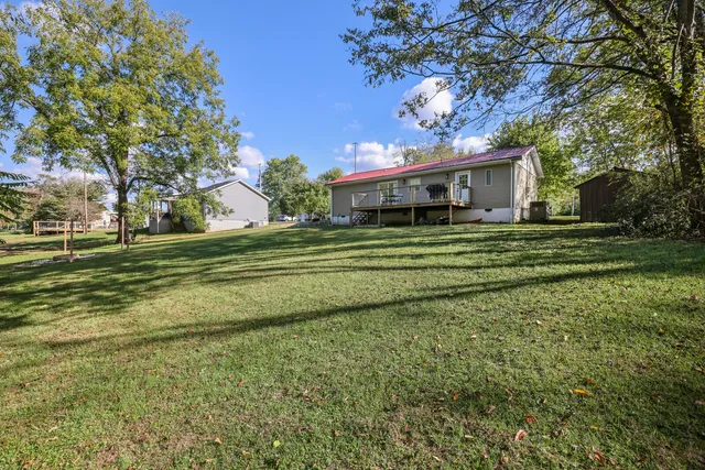 a tall tree in middle of green field
